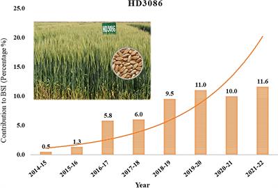 Marker assisted improvement for leaf rust and moisture deficit stress tolerance in wheat variety HD3086